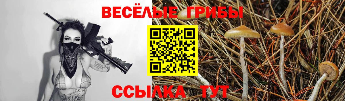 Воронеж  Галлюциногенные грибы прущие грибы  Вход с VPN 